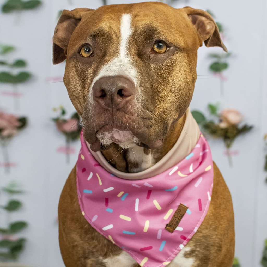 Bandana Dupla Face Pet 2 em 1 Premium Donuts Rosa