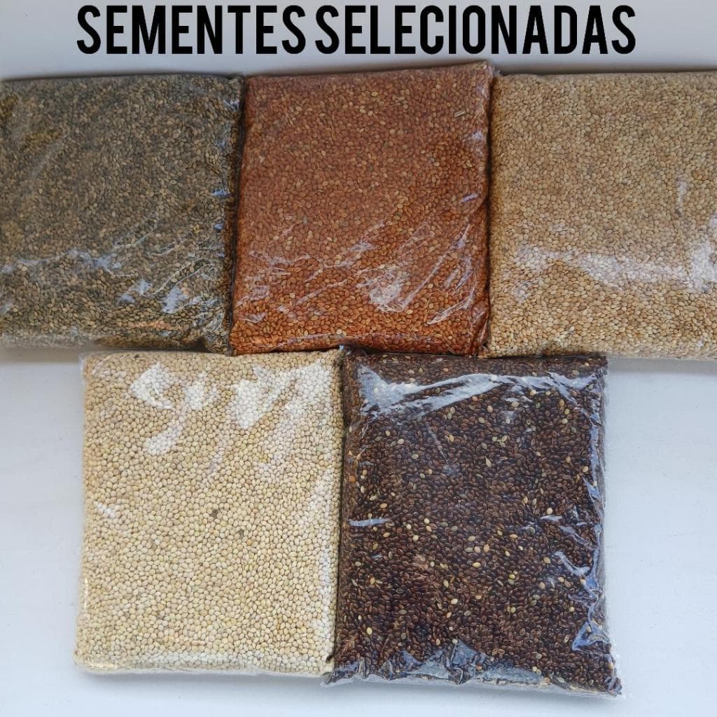 Kit Painço - Painço Nacional, Preto, Vermelho, Verde, Alemão 250g De Cada.