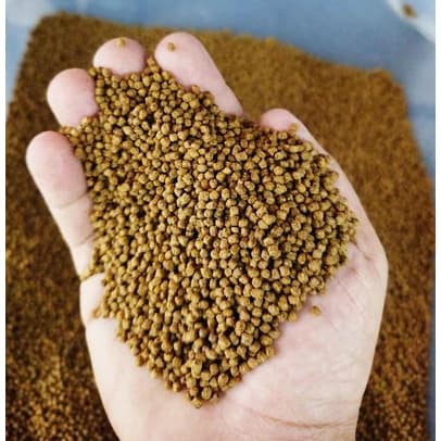 Ração Tartaruga, Jabuti, Répteis e Peixes Adultos e Filhotes