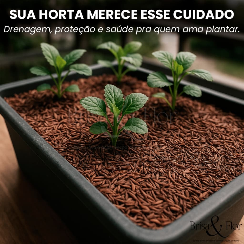 Casca De Arroz Carbonizada Substrato Orgânico Para Horta Jardim Plantas Vaso Terrário