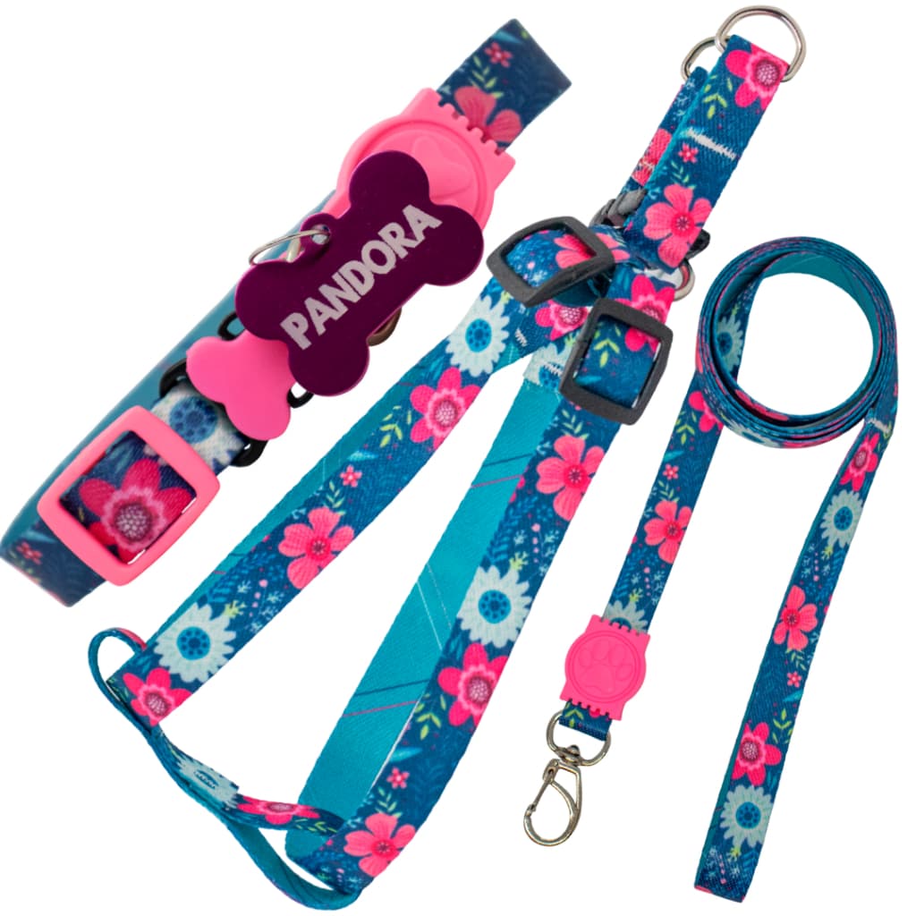 coleira com nome e telefone peitoral e guia kit personalizado pet cão