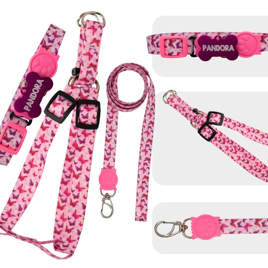 Coleira Peitoral para cachorro com nome e telefone plaquinha de identificação kit personalizado