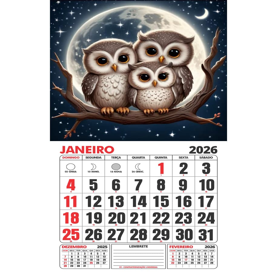 Calendário/Folhinha artesanal de parede 2026 - CORUJAS. Feriados e fases da lua. Leia a descrição!!!