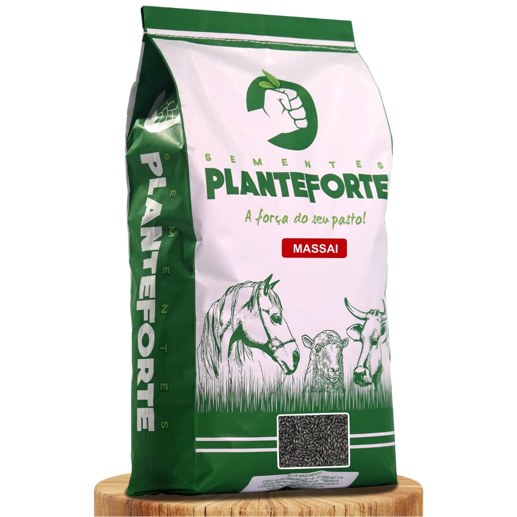 Sementes Capim Massai Incrustada 10kg