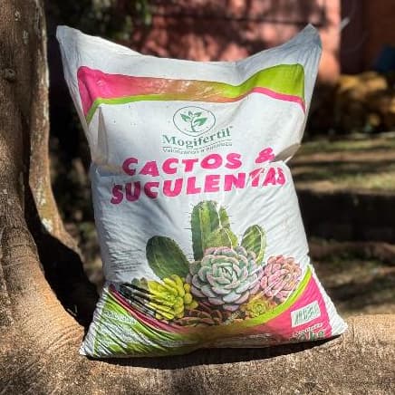 Substrato Cactos e Suculentas 20kg Mogifertil Terra Vegetal Natural Pronta Uso Jardim Vaso Plantas