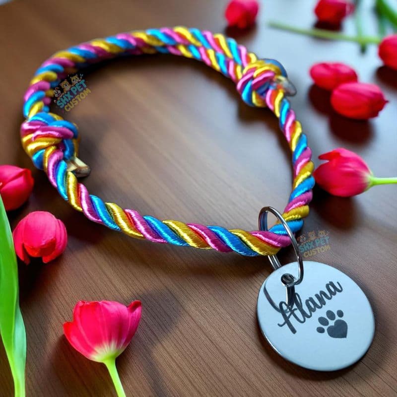 Colar Coleira Gato Cachorro Personalizada com Nome (Tag em Aço)