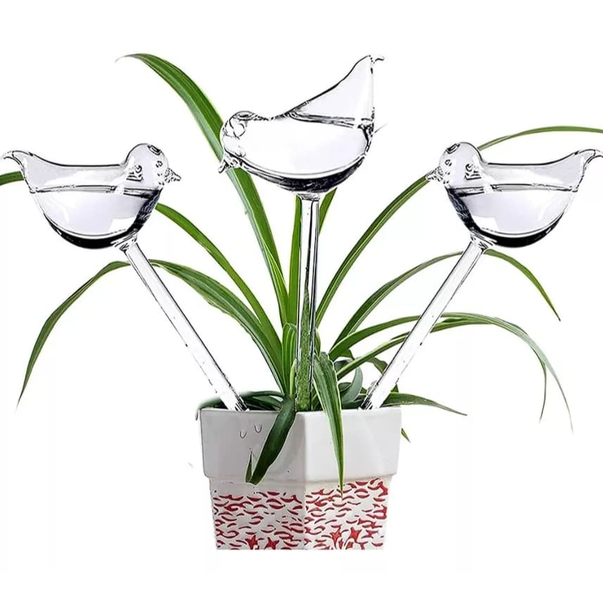 Kit 3 Regador Automático Para Plantas Gotejador Irrigação Jardim