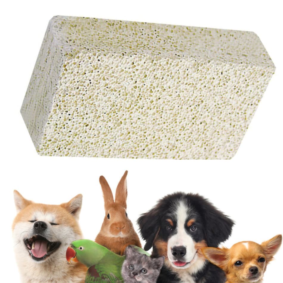 Kit 1/2/3 Pedra Pomes Para Lixar Tira Calosidade Esfoliação Uso Pet Unhas desgaste Gato