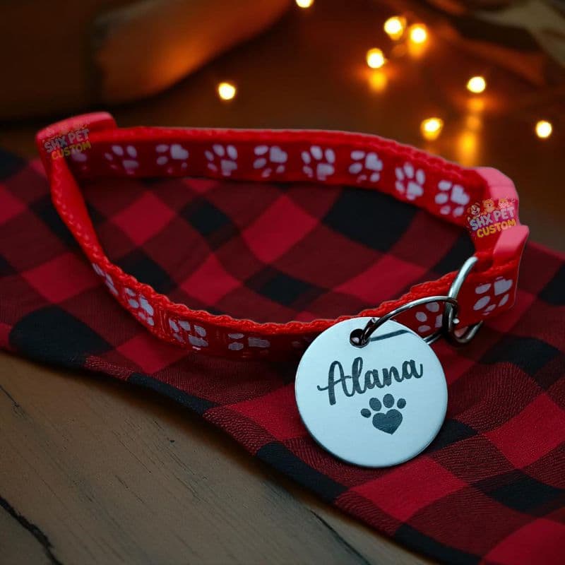 Coleira Gato Identificação Coleira para Cachorro Coleira Personalizada