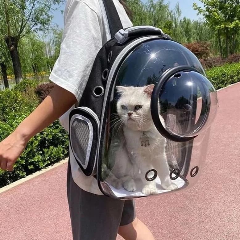 Mochila Bolsa para Pet Transparente Visão Panorâmica para Gato Ou Cachorro Confortável e Pratica