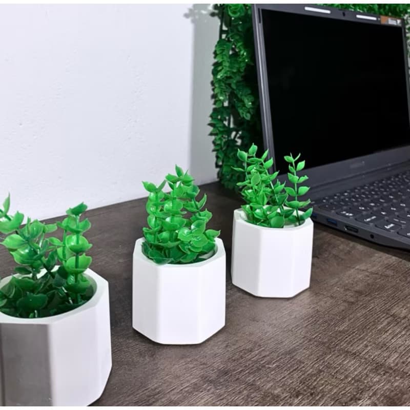 kit com 20 vasinhos octogonal com plantas