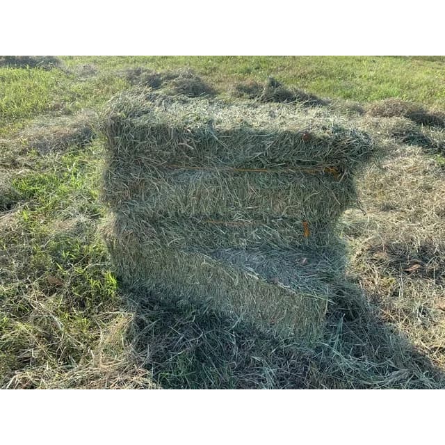 1 Fardo de Feno de 12 kg - Feno para Roedores