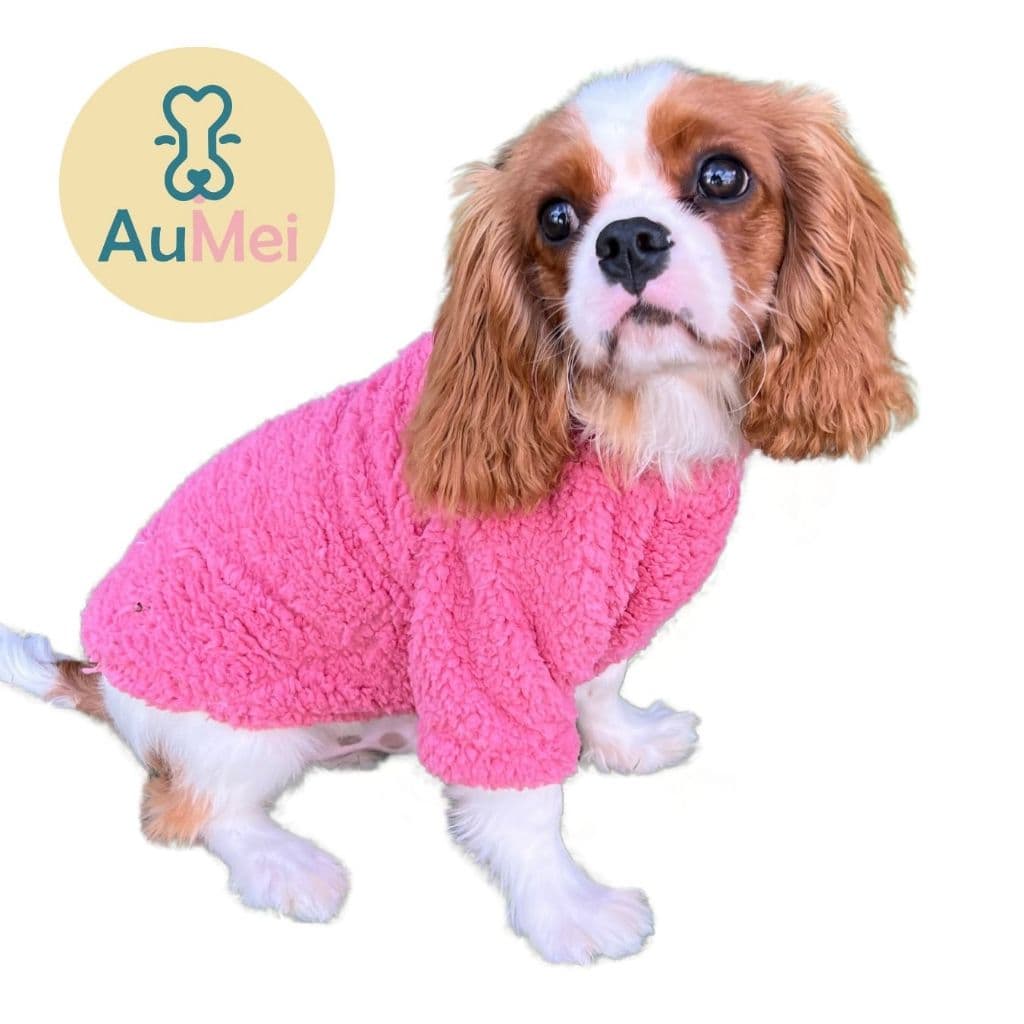 Roupinha Pet Cachorro Gato Outono Inverno Casaco Teddy Casaquinho Frio Cães e Gatos