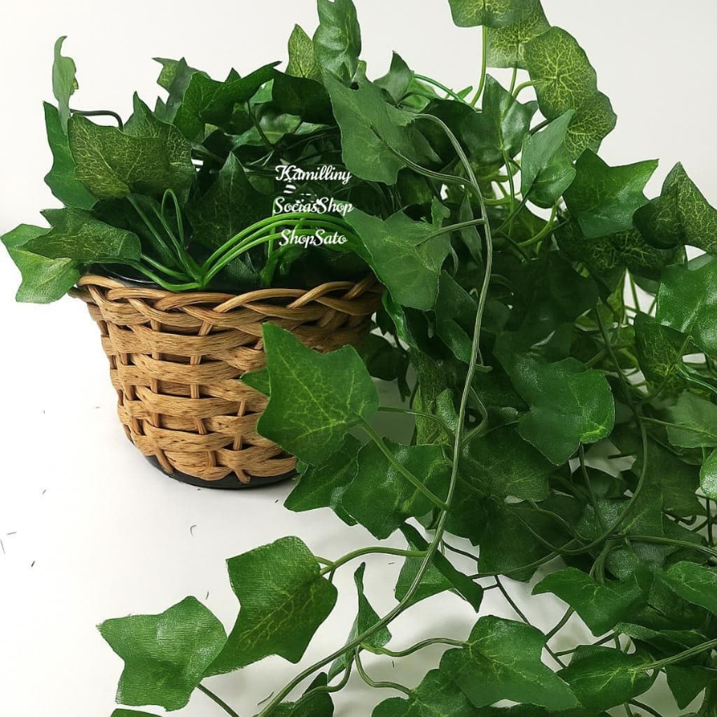 Planta Decorativa + 1 Vaso Trançado Sintético Com 1 Pendente Artificial 2M Folhas De Hera Decor