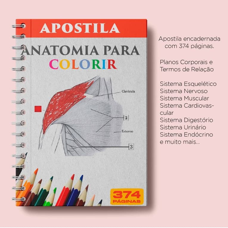 Apostila Anatomia para Colorir – Impressa e Encadernada Envio Imediato