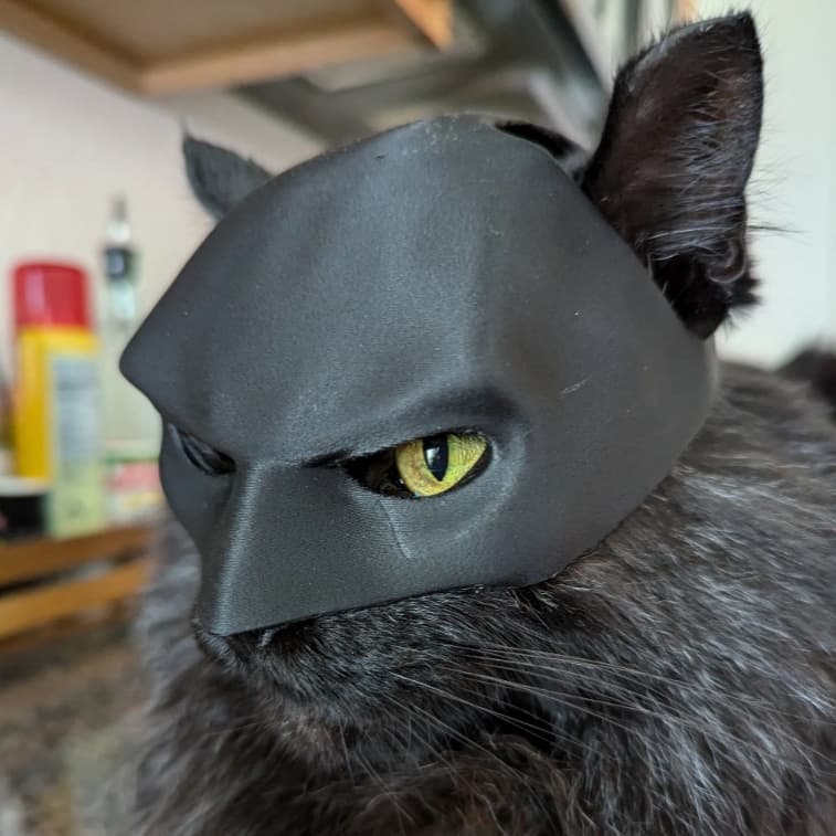Máscara Batgato para Gatos | Acessório Pet Batman.
