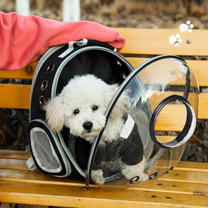 Mochila Transportadora Para Gatos Com Janela Panorâmica E Ventilação