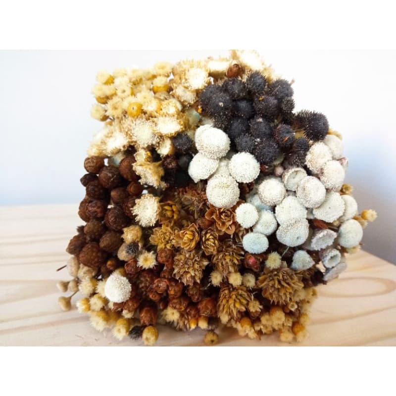 Flores secas desidratadas , Mix de variedades ,flor sempre viva