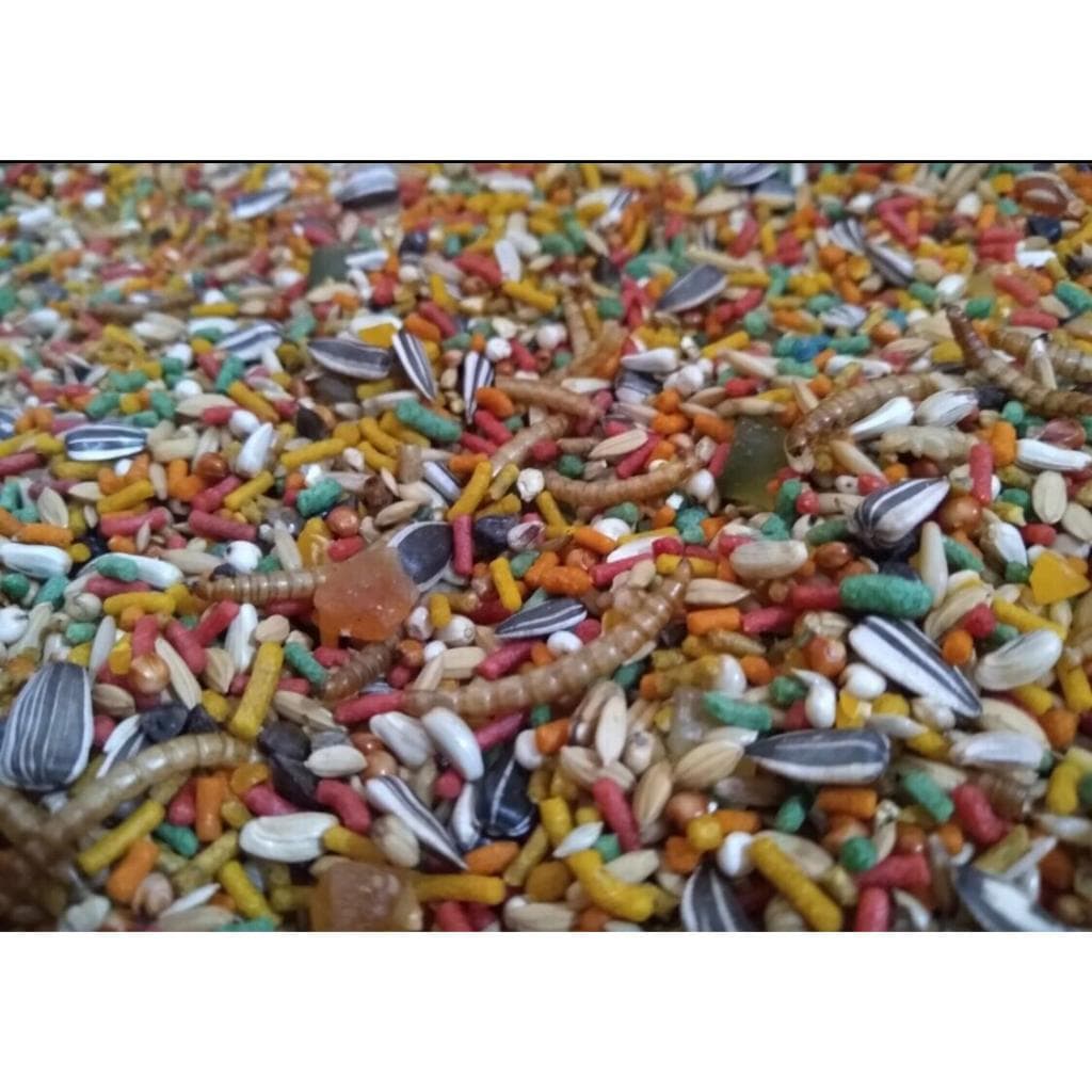 Ração para Trinca Ferro 5 kgs