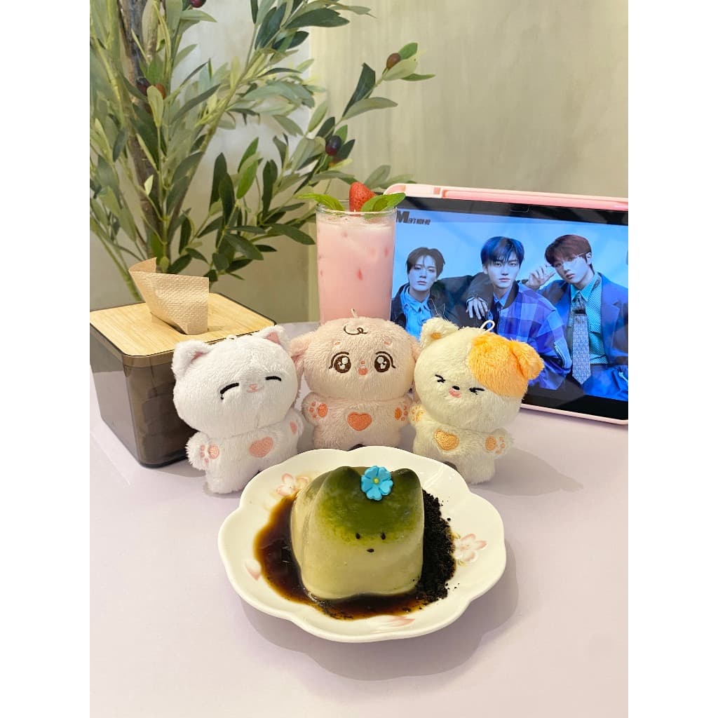 NEO STUDIOS NACIONAIS (até 2kg)