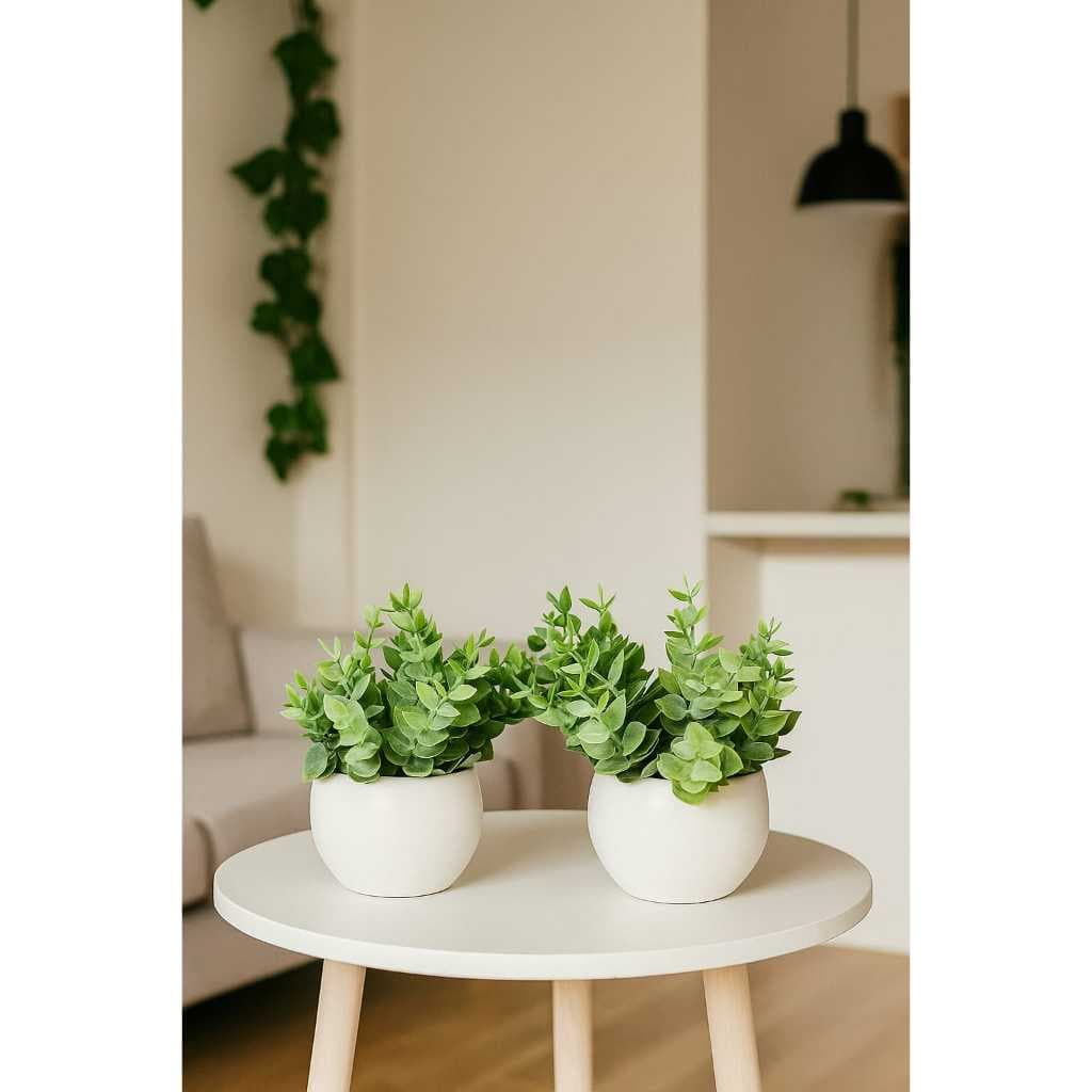 2 Plantas Suculentas Artificiais Com Vasinhos Decoração Casa