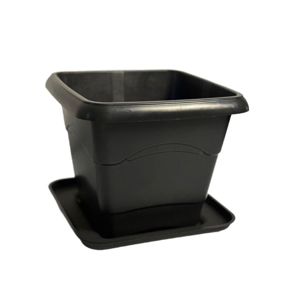 KIT COM 2 VASOS QUADRADOS 5,5L PRETOS COM PRATO