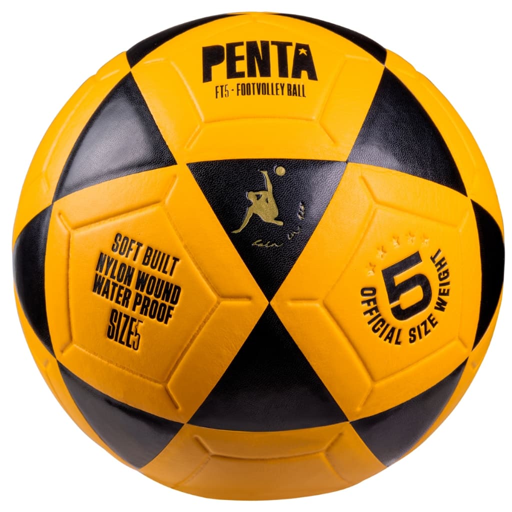 Bola Penta Futvolei Ft-5 Oficial Altinha Futevolei Sports Macia