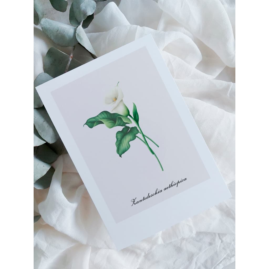 kit cartão com ilustração botânica A6