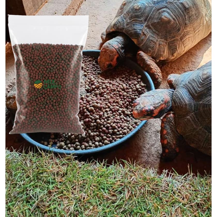 Alimento Ração 2kg Tartaruga aquartica terrestre jabuti tigre red repteis adultos medios filhotes