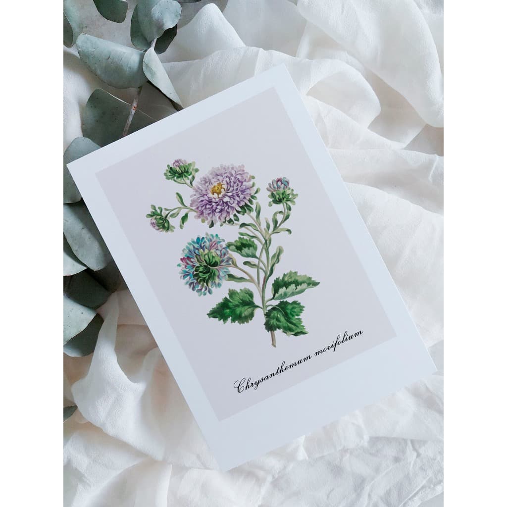 kit cartão com ilustração botânica A6