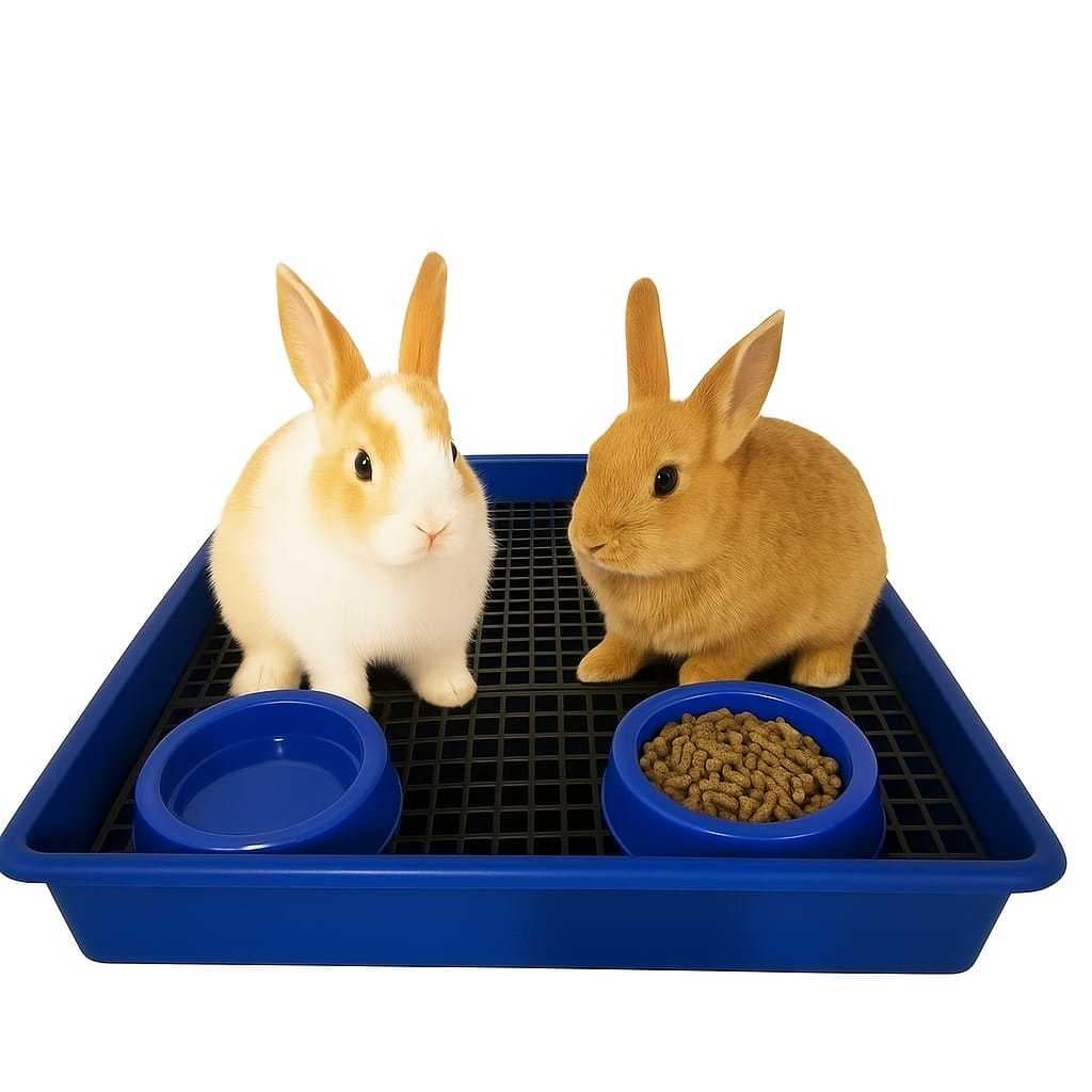 Banheiro Bandeja GG Sanitário P/ Roedores Coelhos GRADE BANHEIRÃO C/ Comded PROMOÇÃO ENVIO IMEDIATO