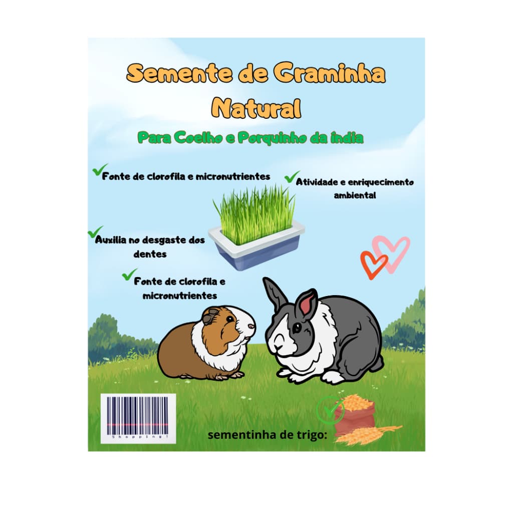 Sementes Graminha Natural para coelho e porquinho da índia Enriquecimento Ambiental