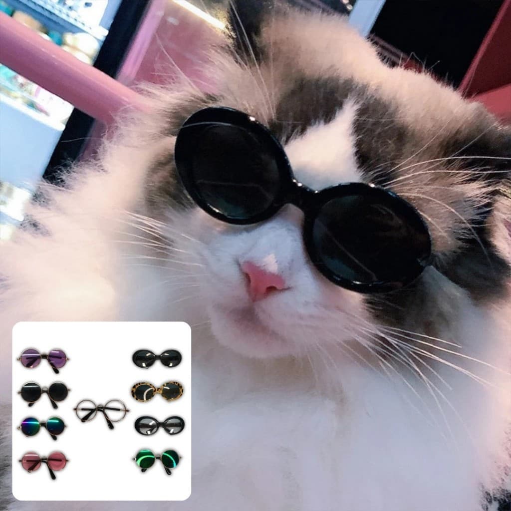 Óculos de Sol Estilosos p/ Pet – Proteção e Charme p/ Cães e Gatos em Várias Cores e Modelos LR-0302