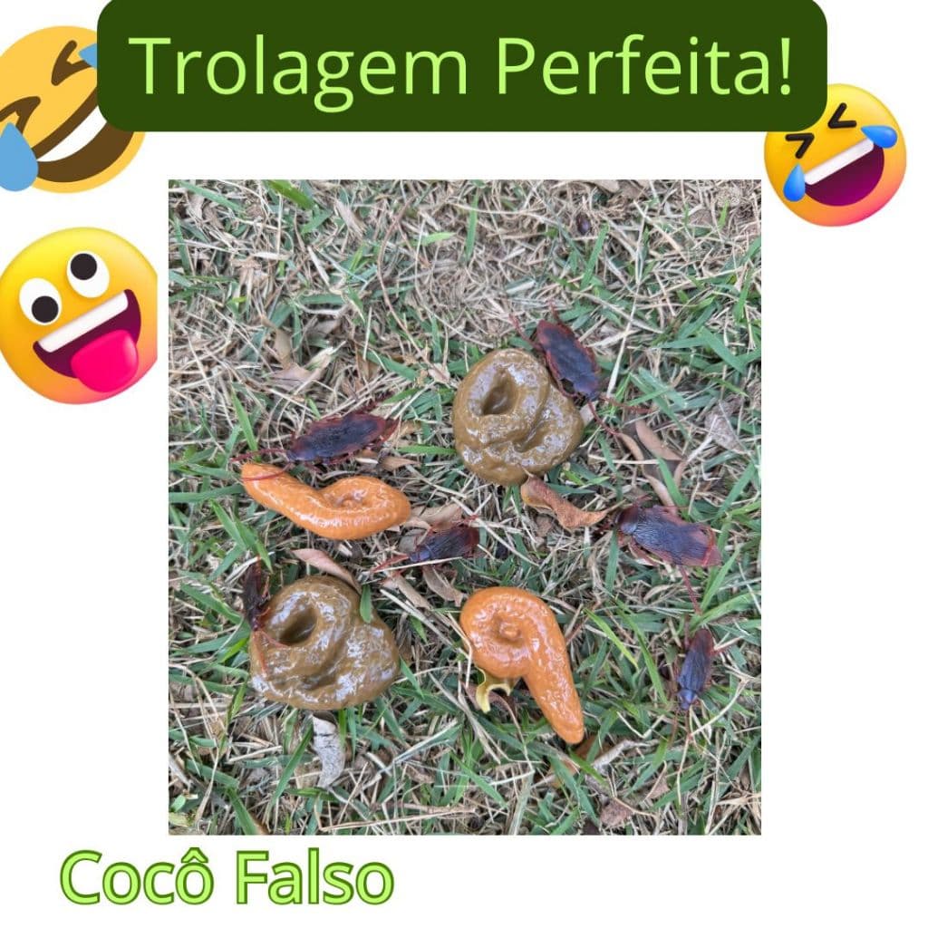 Kit Cocô Bosta Artificial Com Barata Realista Brincadeiras e Pegadinha Halloween Susto