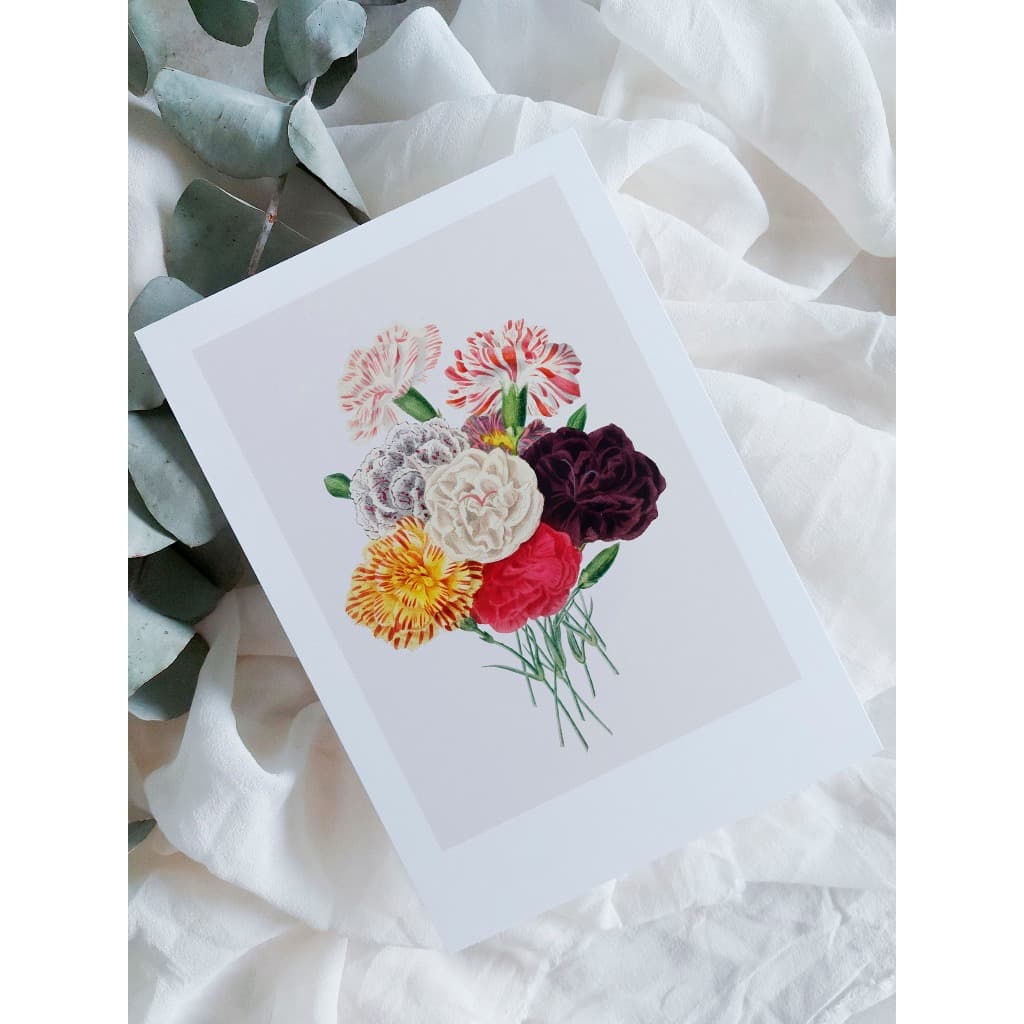 kit cartão com ilustração botânica A6