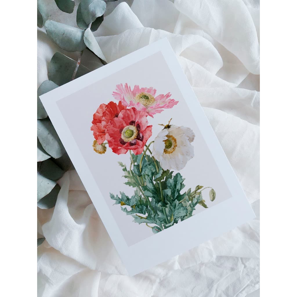 kit cartão com ilustração botânica A6