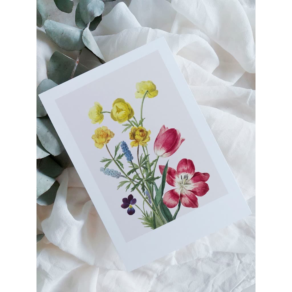 kit cartão com ilustração botânica A6