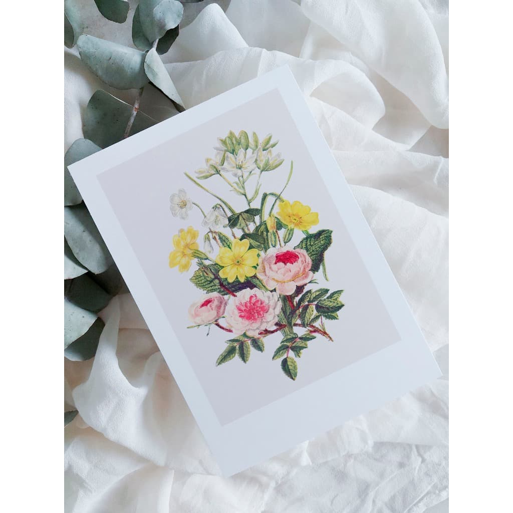 kit cartão com ilustração botânica A6