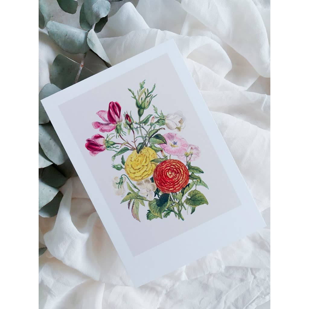 kit cartão com ilustração botânica A6