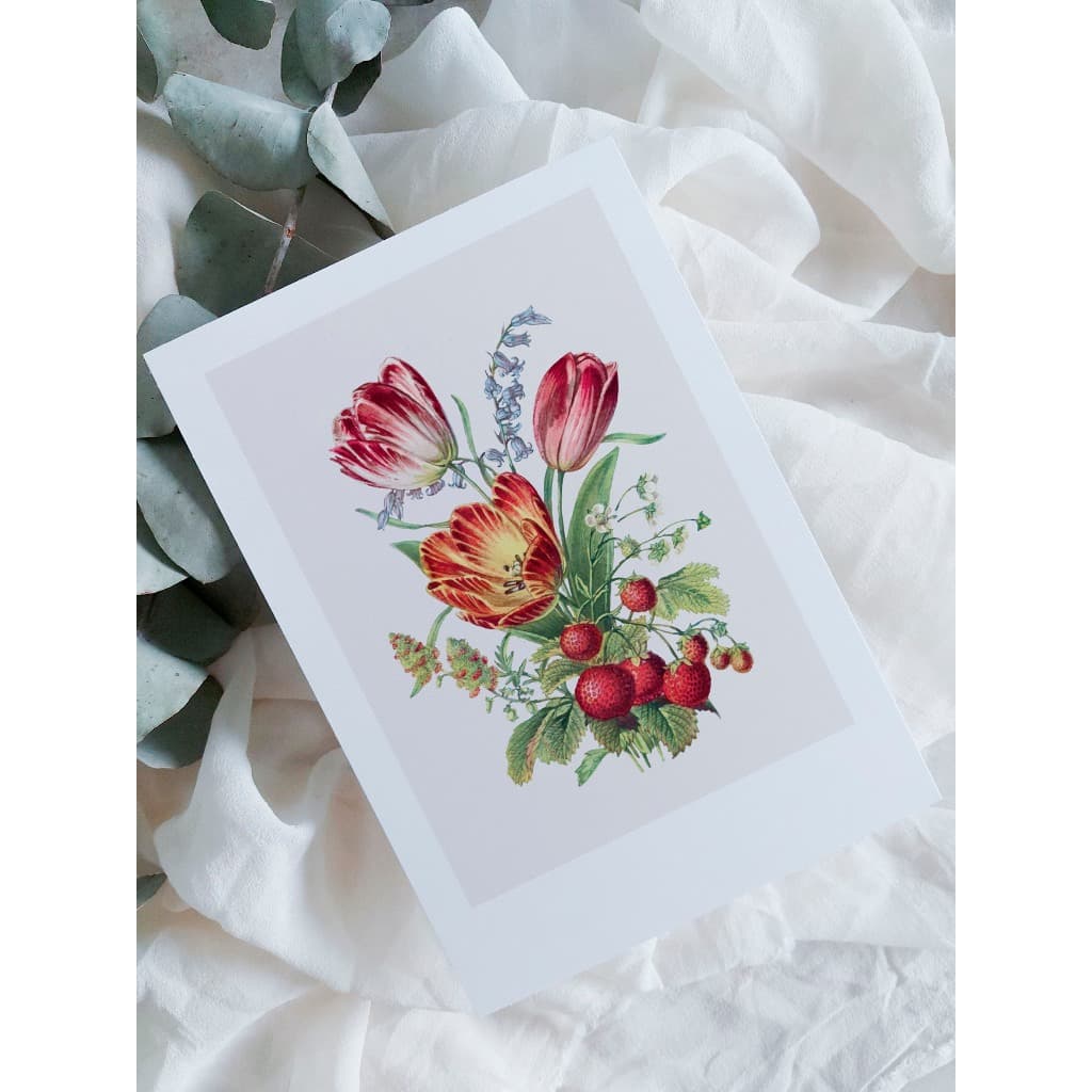 kit cartão com ilustração botânica A6