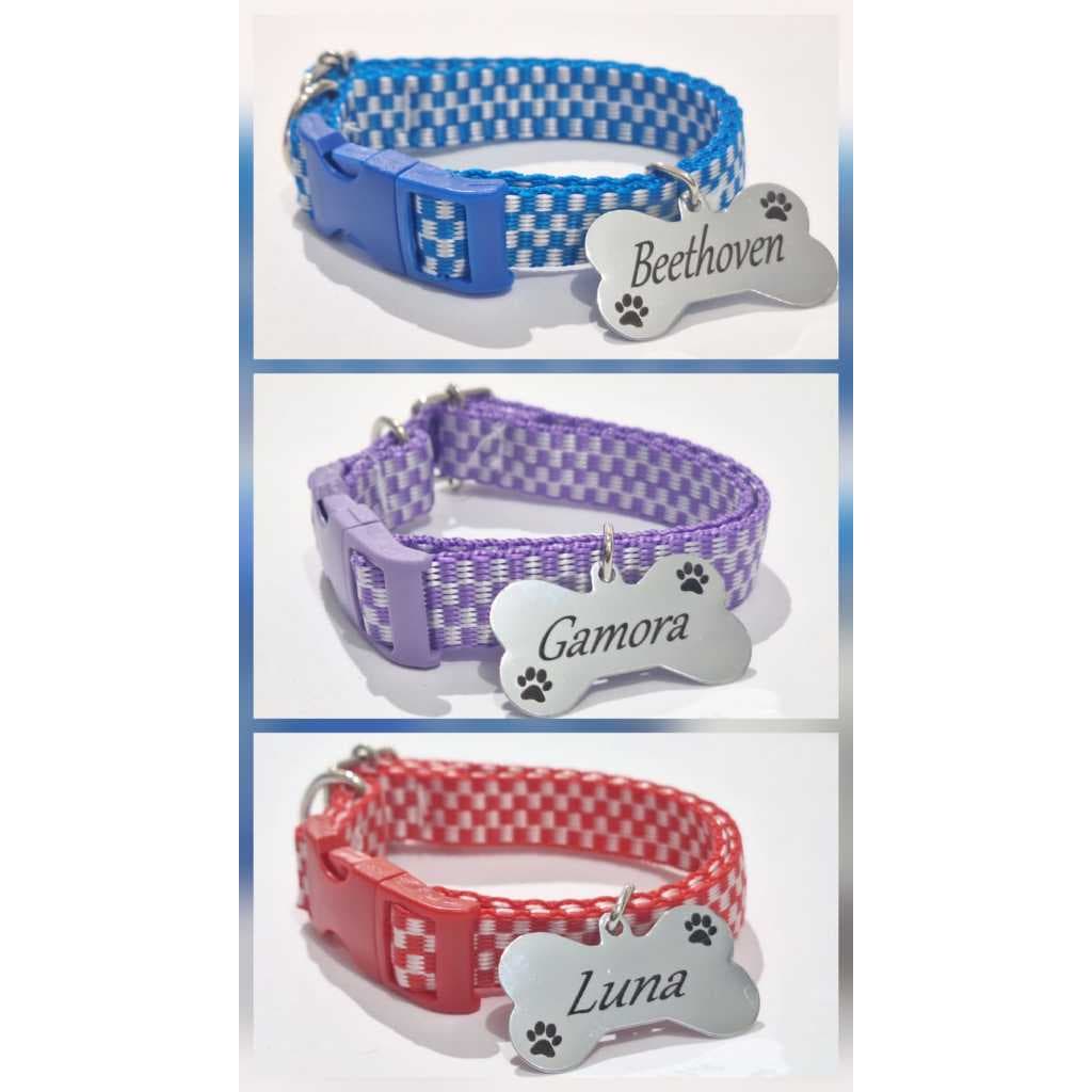 Coleira Para cães e Gatos Com Plaquinha de Identificação GRAVADA!!!