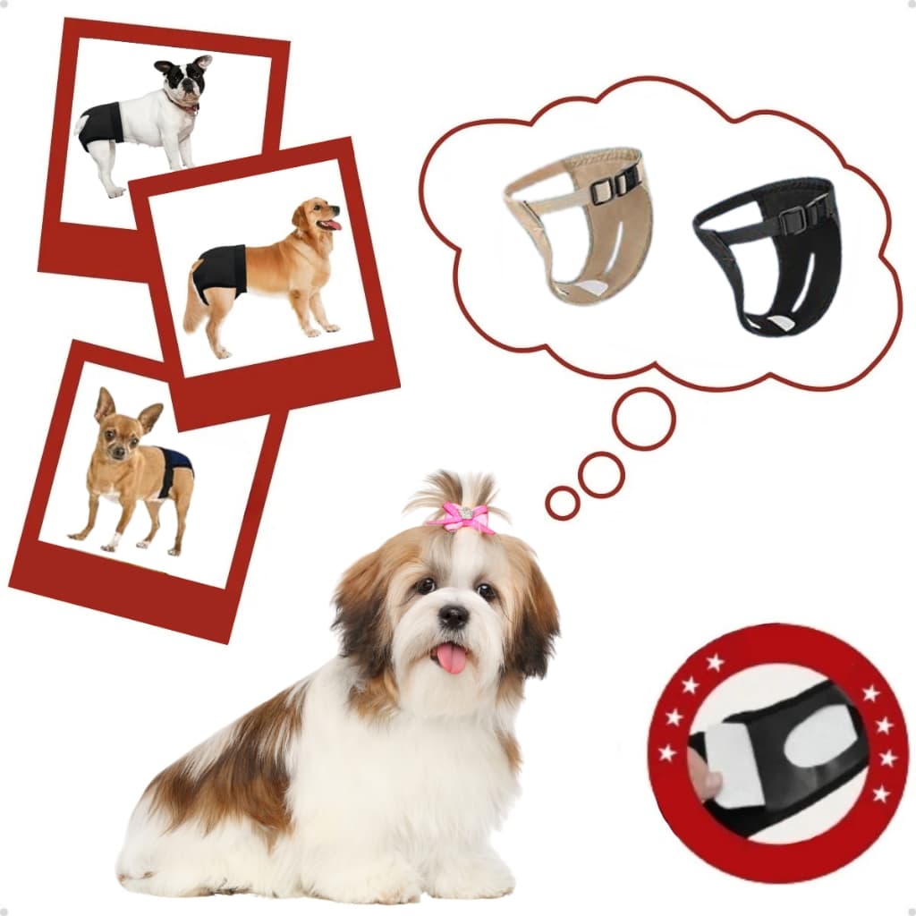 Kit 3 Fraldas Para Cadela no Cio Lavável Reutilizável Anti Xixi Pet Top