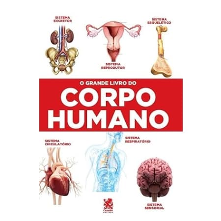 O Grande Livro do Corpo Humano