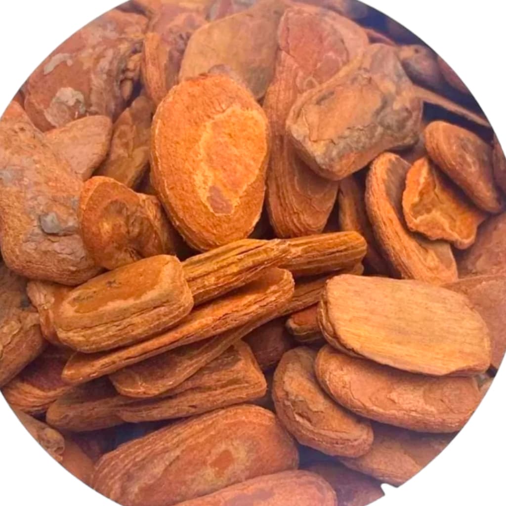 Casca De Pinus 7kg Polida 40l Tam G Premium Planta Decoração