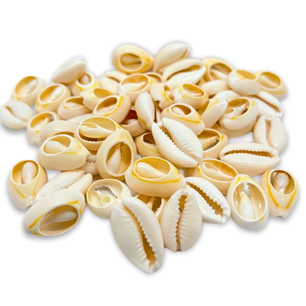 Búzios Naturais do Mar 100g/250g – Não É Plástico | Tamanho 1,8 a 2cm | Para Bolsas, Roupas e Artesanato