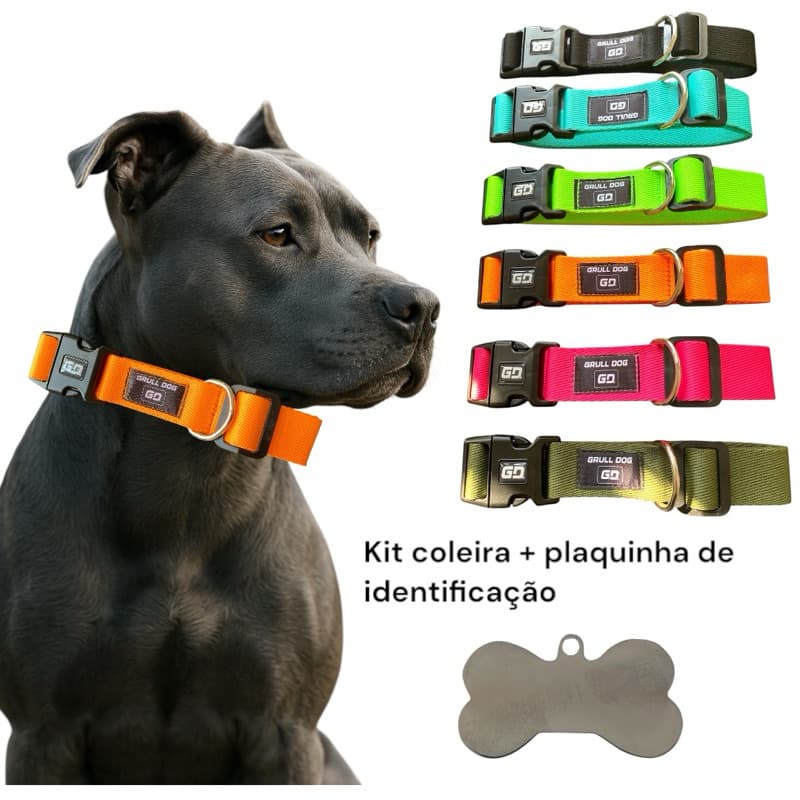 coleira para cachorro + plaquinha de identificação pet ajustável e regulável com fecho resistente