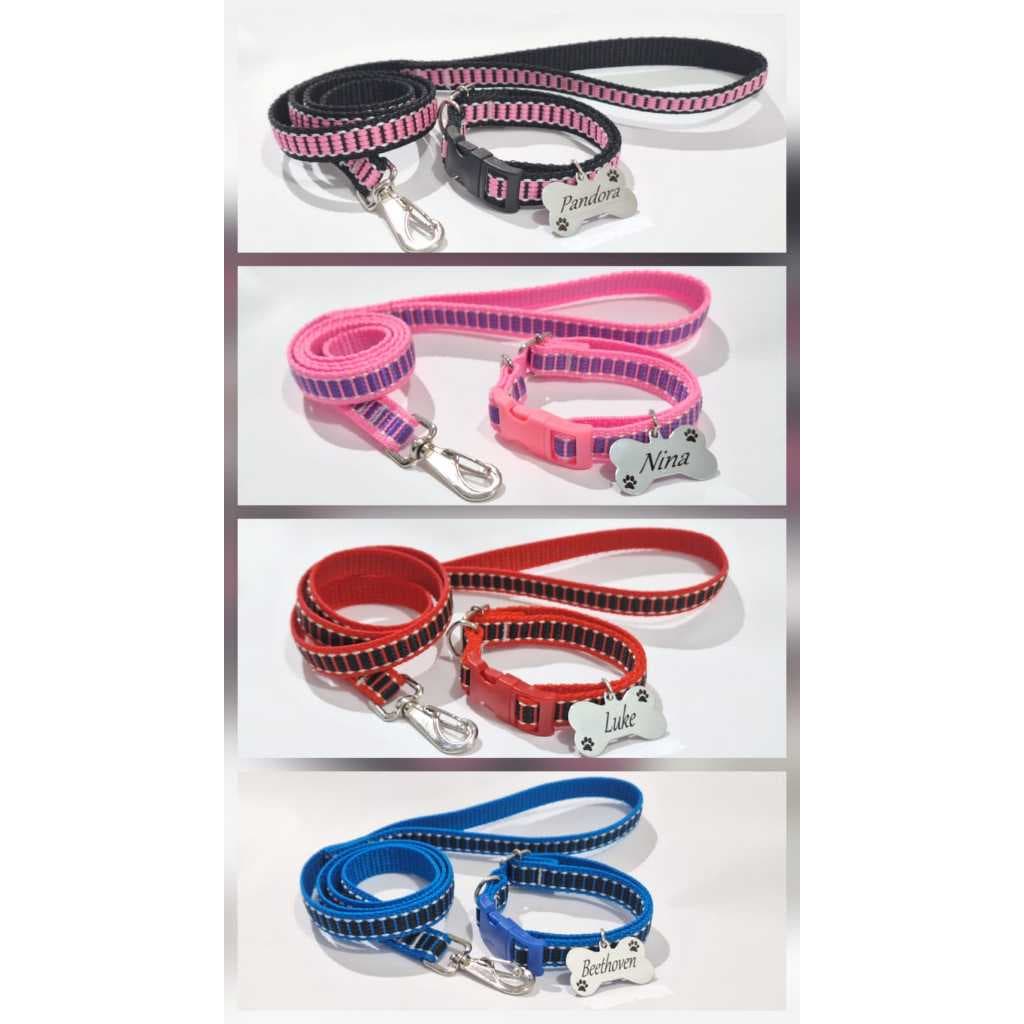 Coleira Para Cães ou Gatos com Guia + Placa de Identificação Gravada