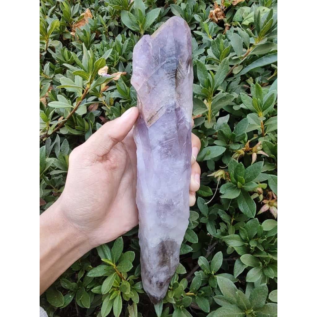 Ametistas Super Seven Cacoxenitas, Cetro 100% Naturais,300/ 800Gr. 13/21 cm de comprimento.