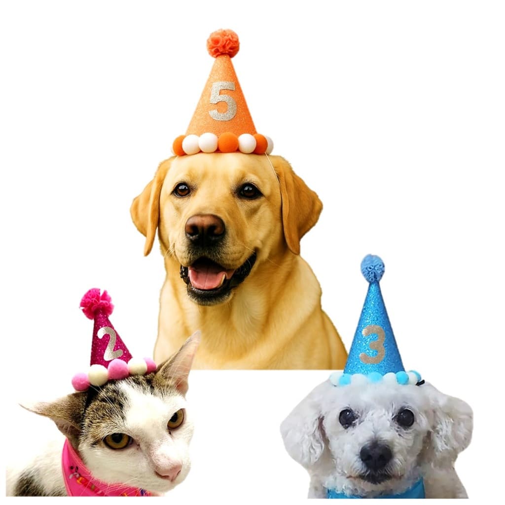 Chapéu aniversário pet 3 tamanhos/ 5 cores a escolher, personalizado com Idade - Envio Imediato