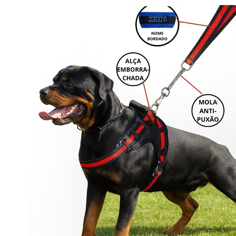 Coleira Peitoral pra cachorro colocamos nome grande Golden Fila com guia anti puxão forrado